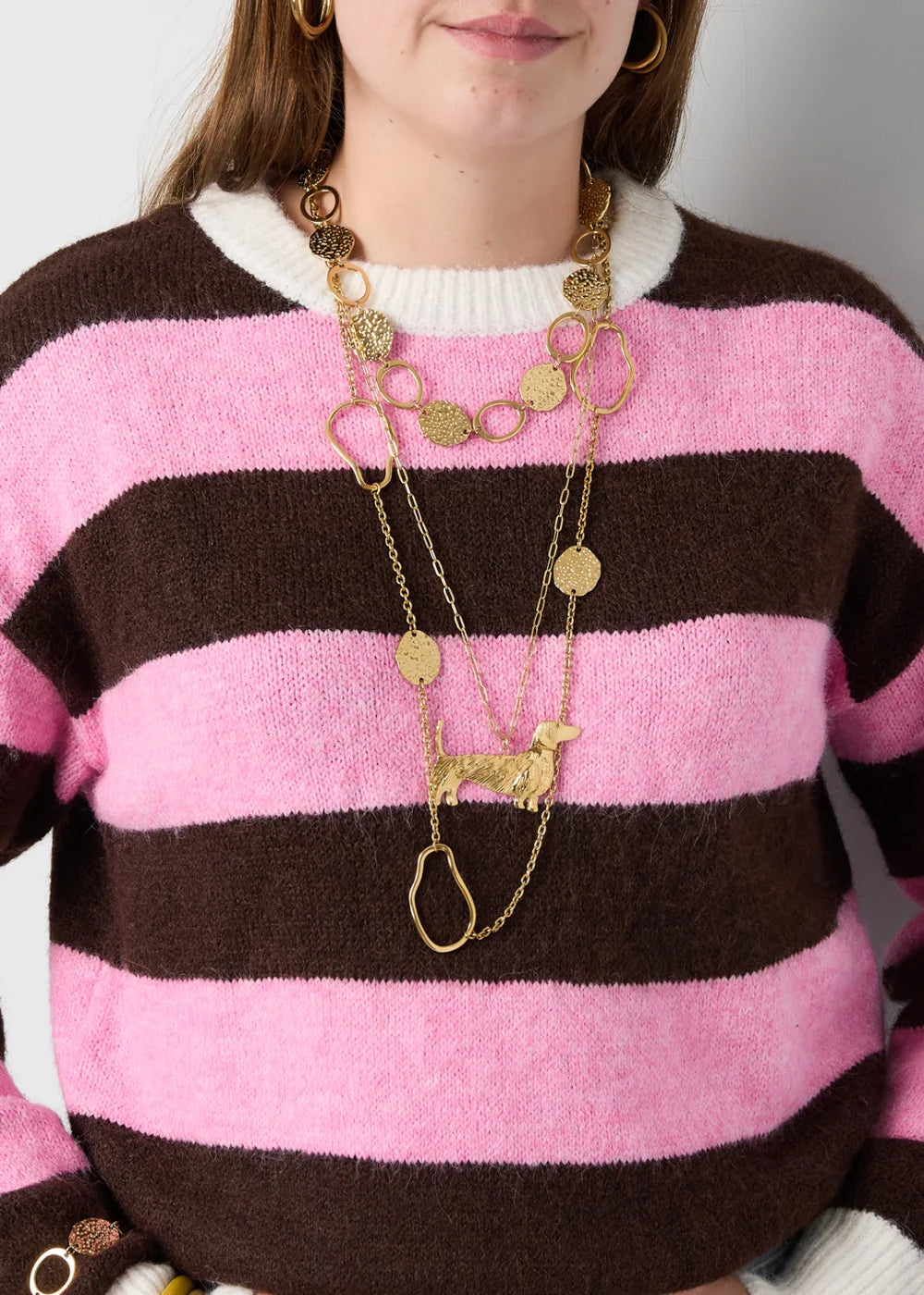 Gouden ketting met een hanger van een grote teckel hond